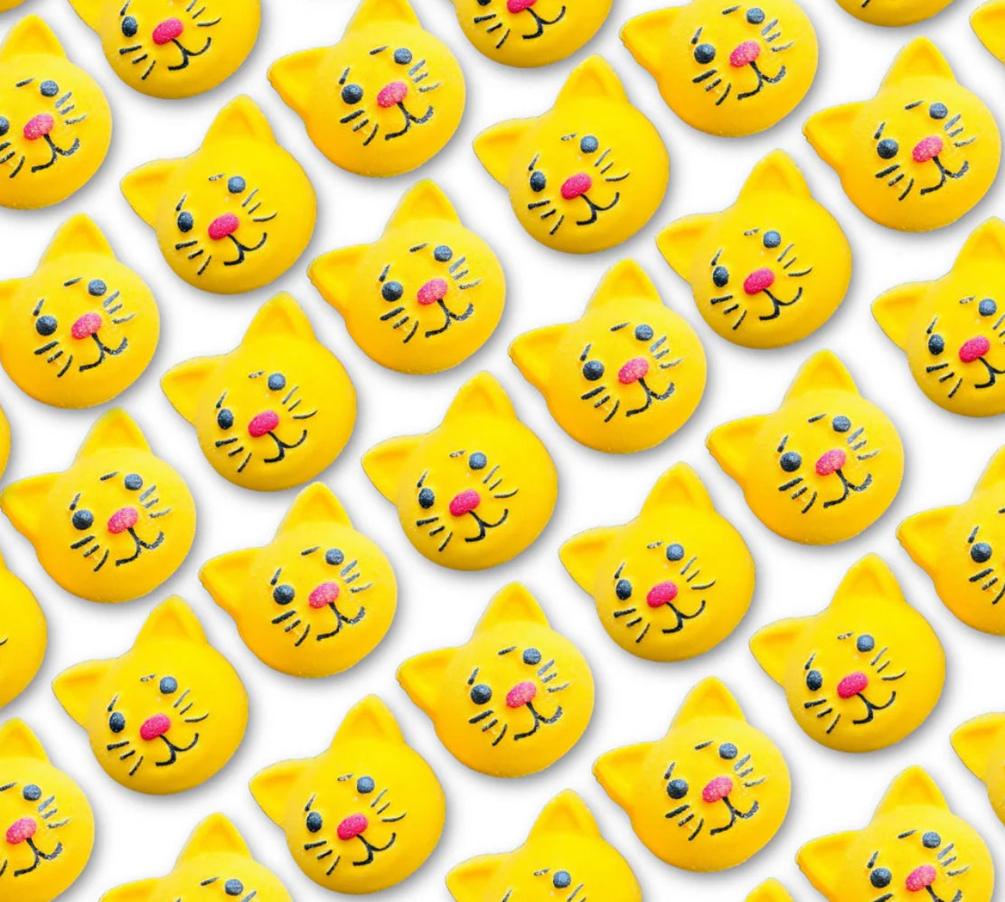 Mini Cat Pack Of Two