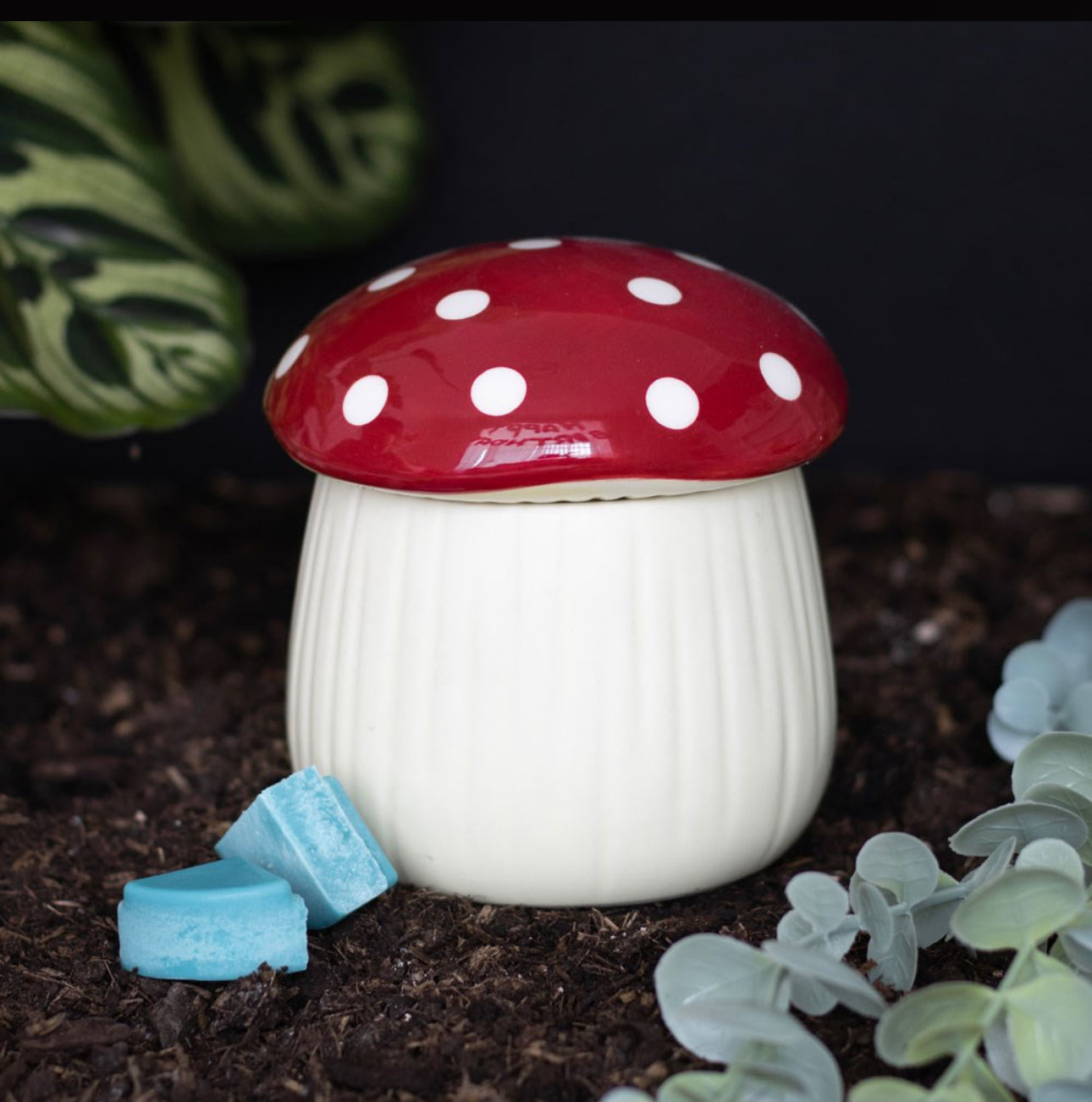 Mushroom Burner