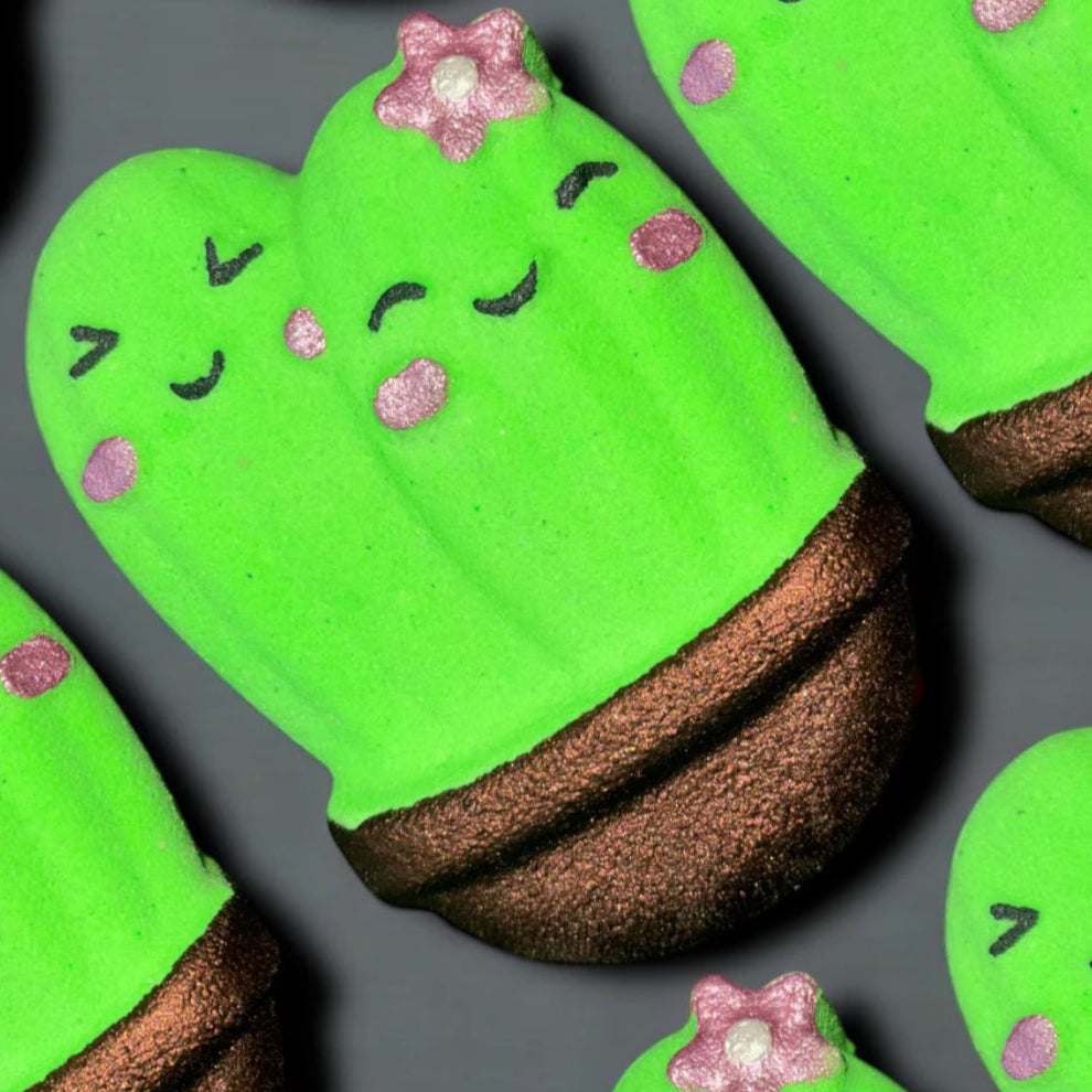 Cactus Bath Bomb
