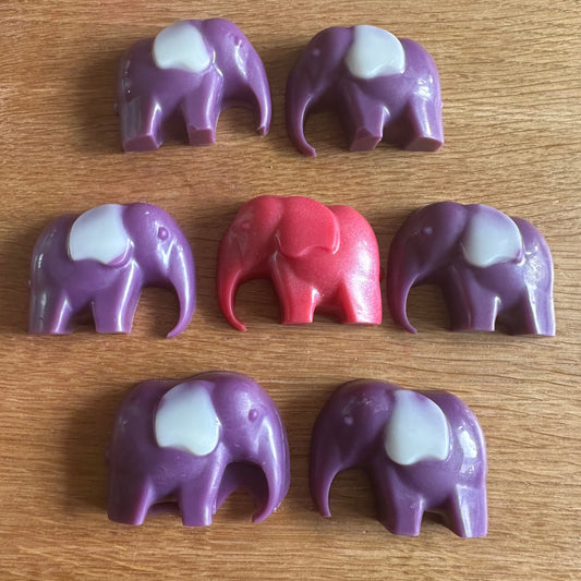 Elephants Sample Boxes