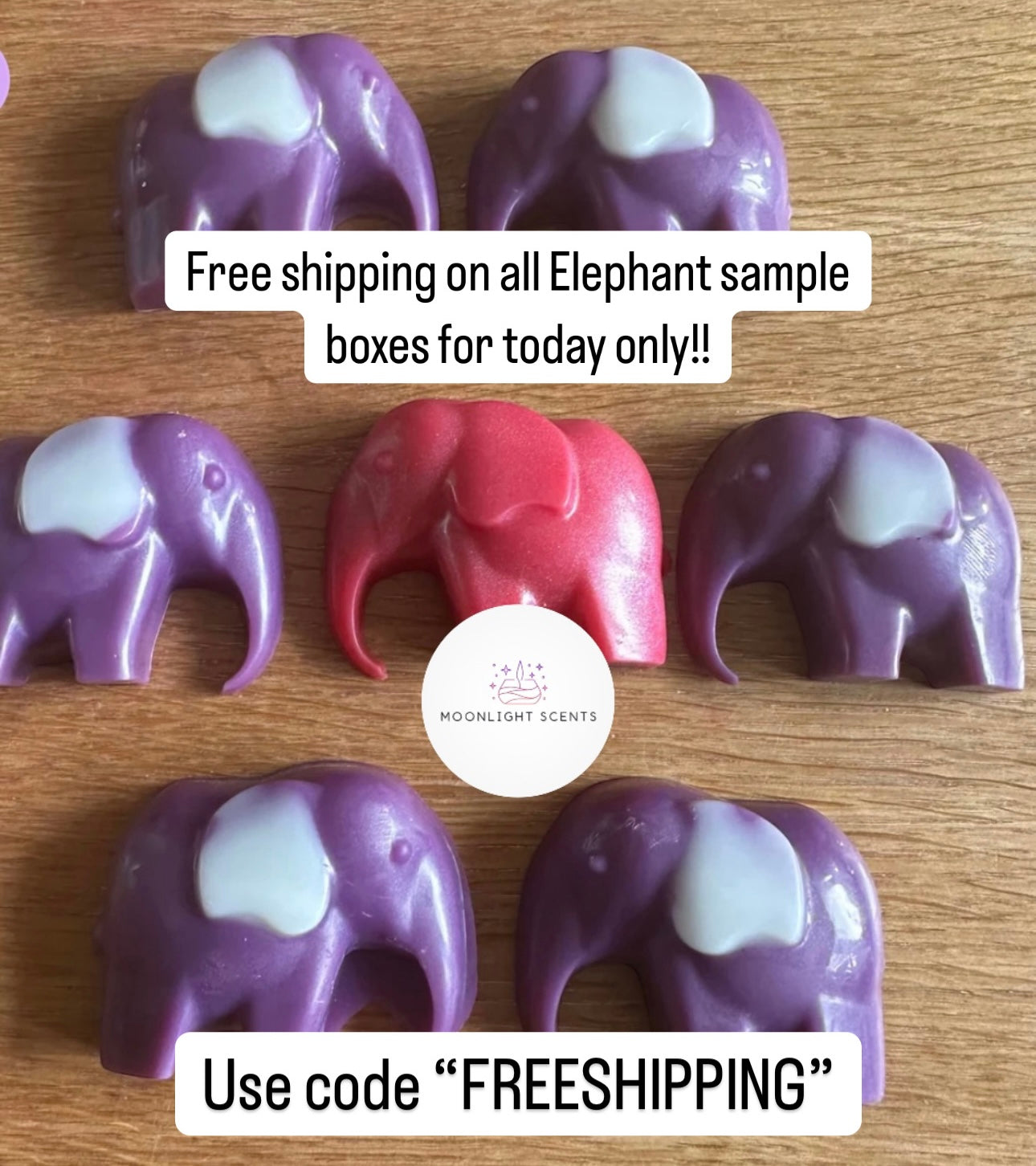 Elephants Sample Boxes