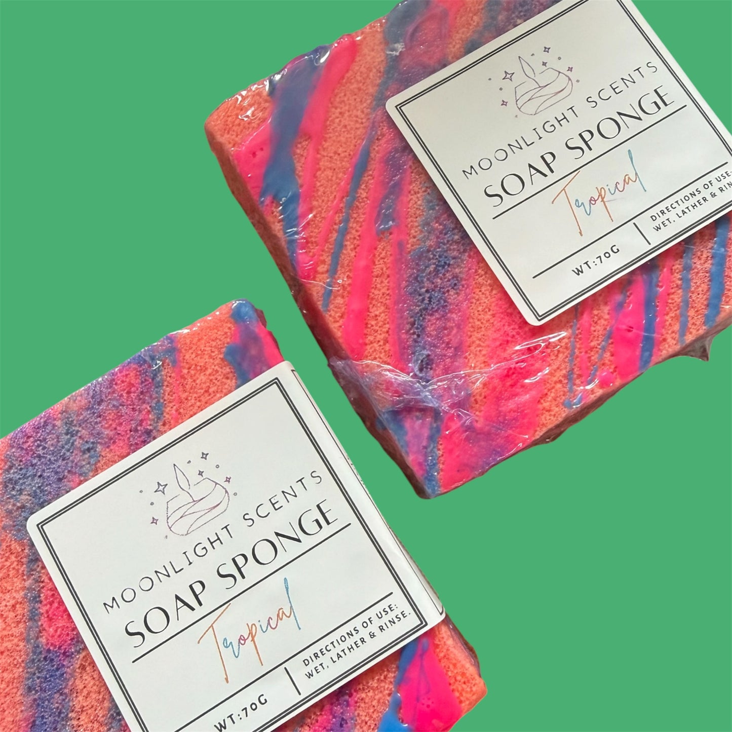 Small Tropical Soap Sponge
