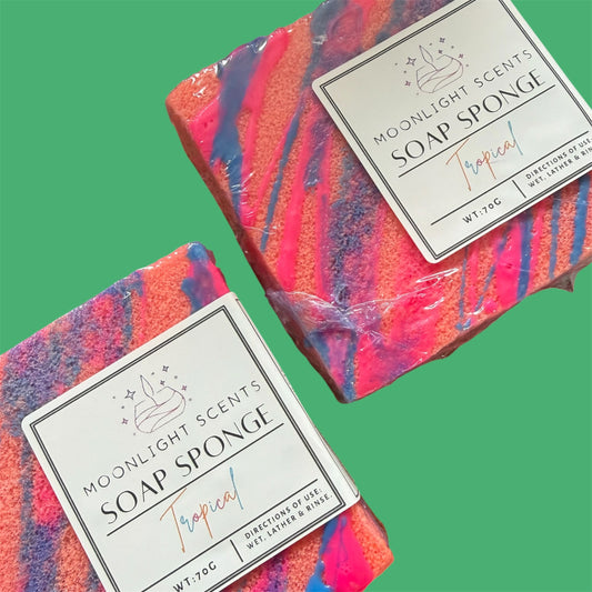 Small Tropical Soap Sponge