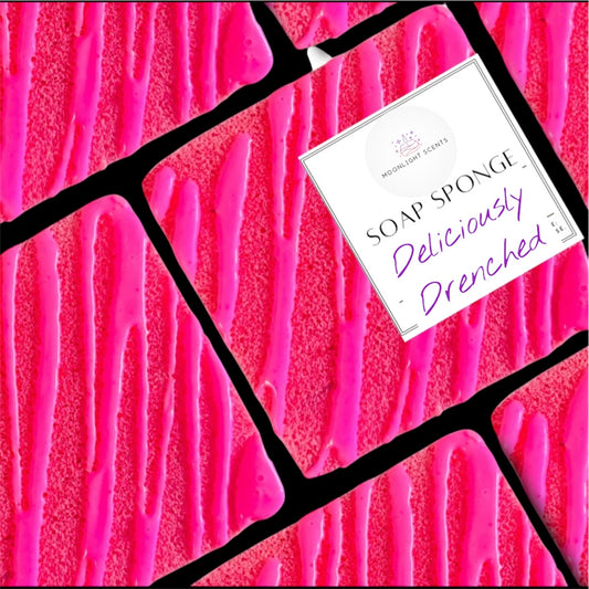 Small Paradoxal Soap Sponge